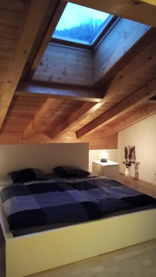 Apartment HohenВерфен Экстерьер фото
